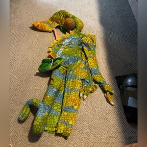 Colorful Dinosaur Costume